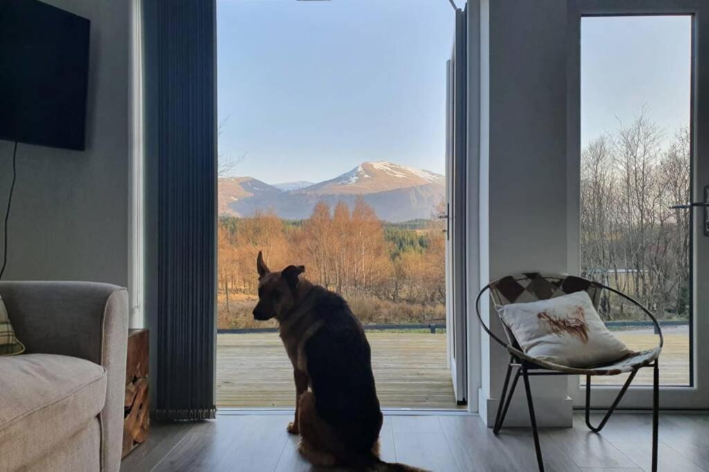 Ben Nevis Scotland Highlands, Camden House Luxury Home Fort William Ngoại thất bức ảnh